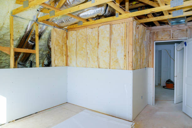 Best Insulation Removal  in Roosevelt, NY