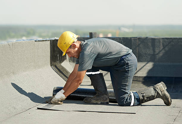 Best Professional Insulation Contractor  in Roosevelt, NY