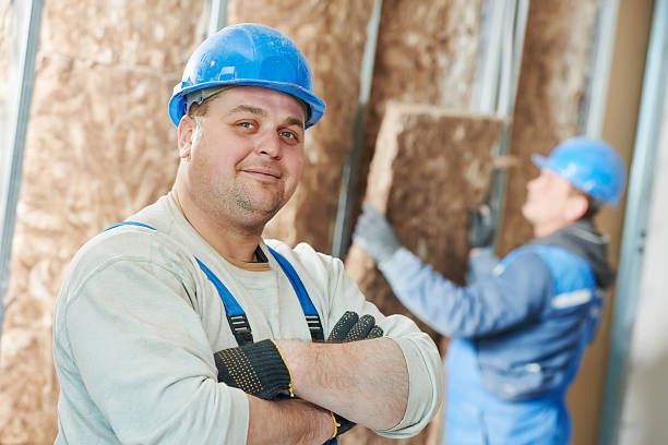 Best Insulation Inspection Services  in Roosevelt, NY